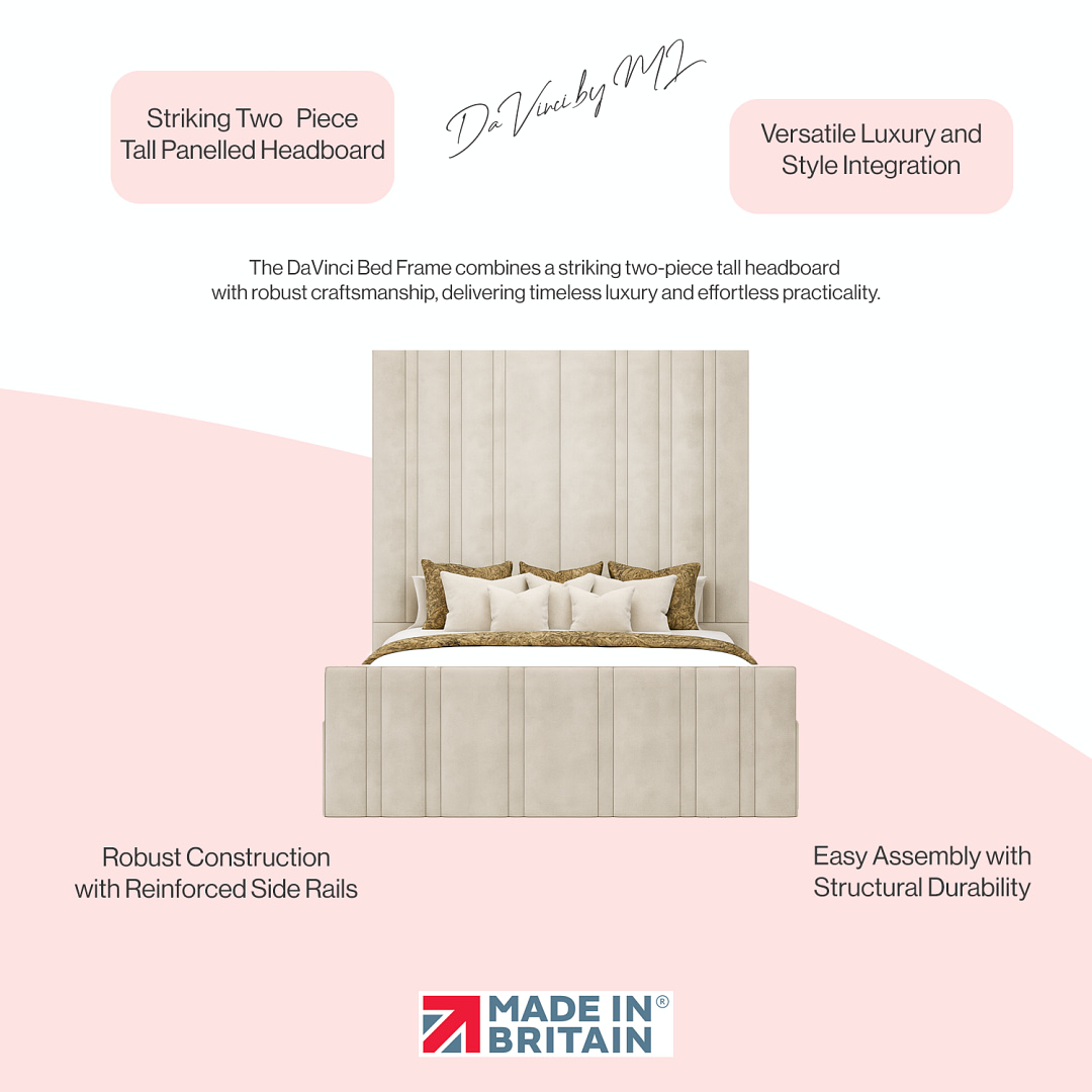 davinci-bedmoreinfographics copy